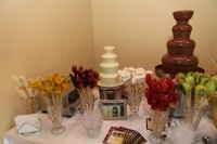 /album/galeria-de-fotos-casamento-de-juliana-nicolas/j-n-1643-jpg1/